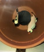 IMG_2454.jpeg