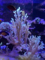 IMG_5588.jpeg