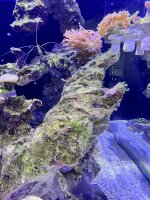 IMG_4247.jpeg