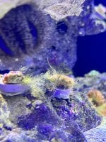 IMG_4248.jpeg