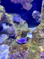 IMG_4249.jpeg