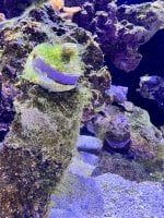 IMG_4250.jpeg