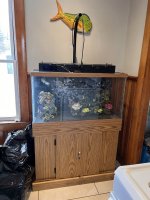 IMG_3996.jpeg