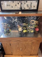 IMG_4001.jpeg