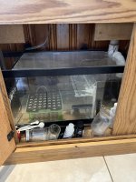IMG_3997.jpeg