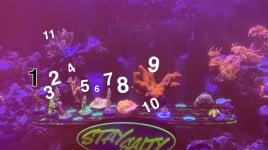 IMG_9139.jpeg