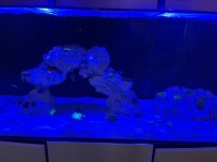IMG_1119.jpeg