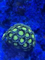 IMG_2414.jpeg