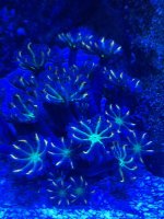 IMG_2412.jpeg