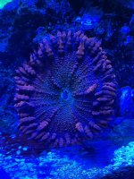 IMG_2410.jpeg