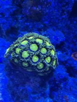 IMG_2404.jpeg