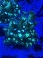 IMG_2405.jpeg