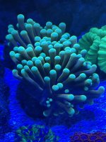 IMG_2409.jpeg