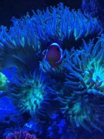 IMG_2397.jpeg