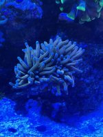 IMG_2396.jpeg