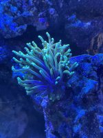 IMG_2395.jpeg