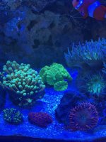 IMG_2384.jpeg