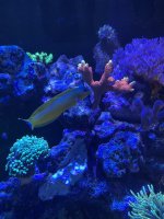 IMG_2388.jpeg