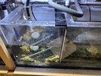 IMG_1098.jpeg