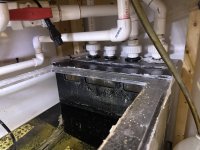 IMG_1096.jpeg