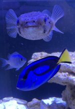 IMG_2776.jpeg