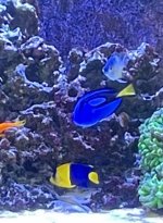 IMG_2775.jpeg