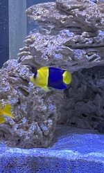 IMG_2778.jpeg