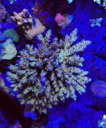 IMG_2356.jpeg