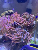 IMG_7312.jpeg