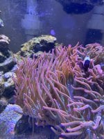 IMG_7314.jpeg
