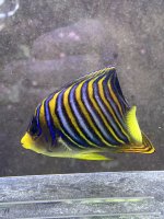 IMG_5843.JPG