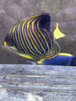 IMG_5845.JPG