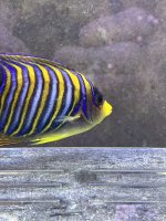 IMG_5846.JPG