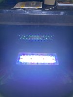 IMG_2745.jpeg