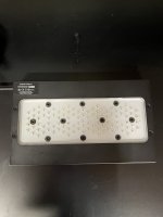 IMG_2744.jpeg