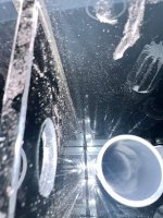 IMG_1876.jpeg