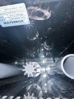 IMG_1874.jpeg