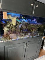 IMG_3247.jpeg