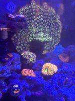 IMG_1052.jpeg