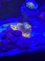 IMG_1058.jpeg