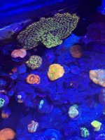 IMG_1062.jpeg