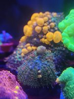 20230808_211633.jpg