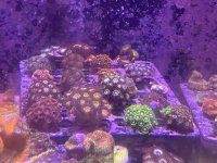 IMG_0082.jpeg
