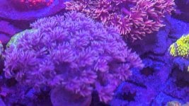 PXL_20230826_131813994.jpg
