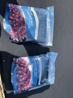 IMG_7494.jpeg