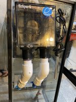 IMG_5905.jpeg