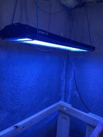 IMG_5901.jpeg