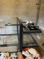 IMG_5898.jpeg