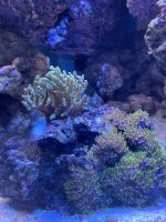 IMG_8304.jpeg