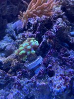 IMG_8303.jpeg